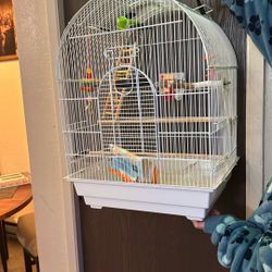 Bird Cage Medium Size 