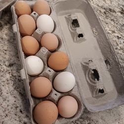 Farm Fresh Eggs