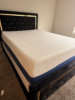 Queen Bed