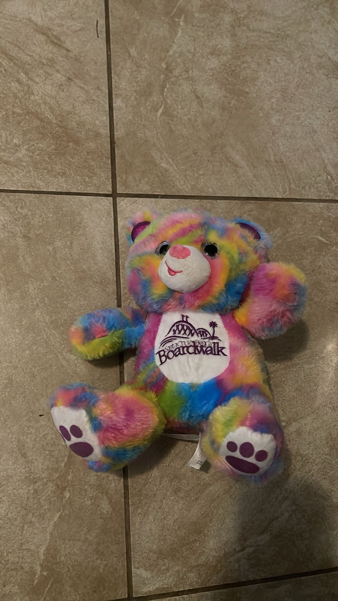 Rainbow Bear Plushy