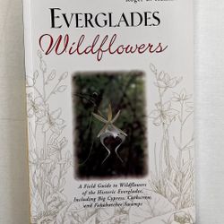 Everglades Wildflowers 