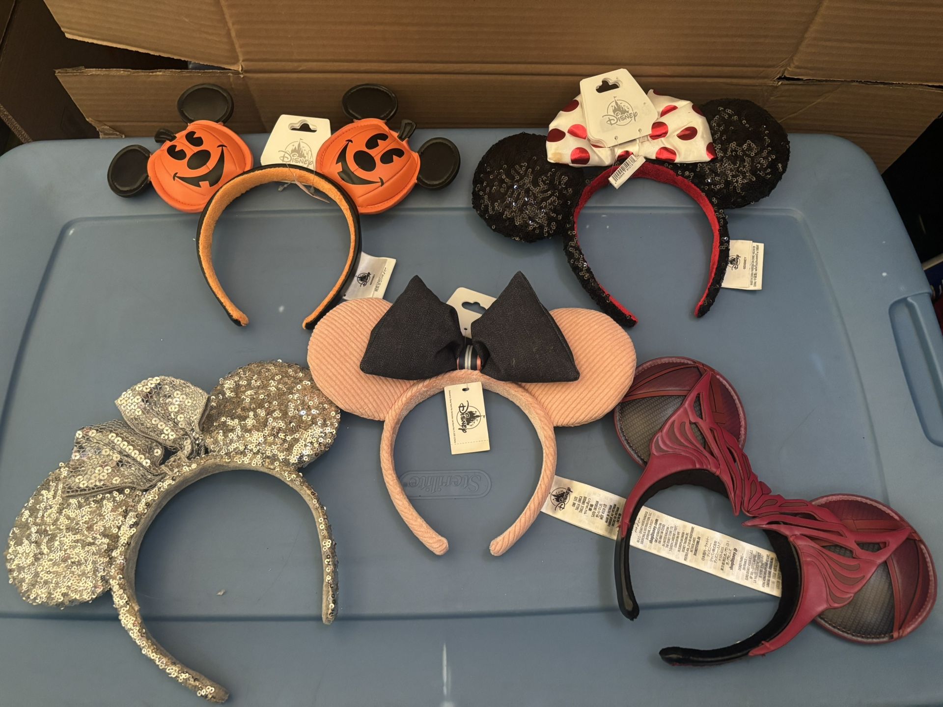 Disney ears bundle