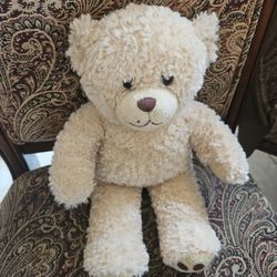 Stuffed Teddy Bear