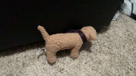 Rare Victoria’s Secret, toy