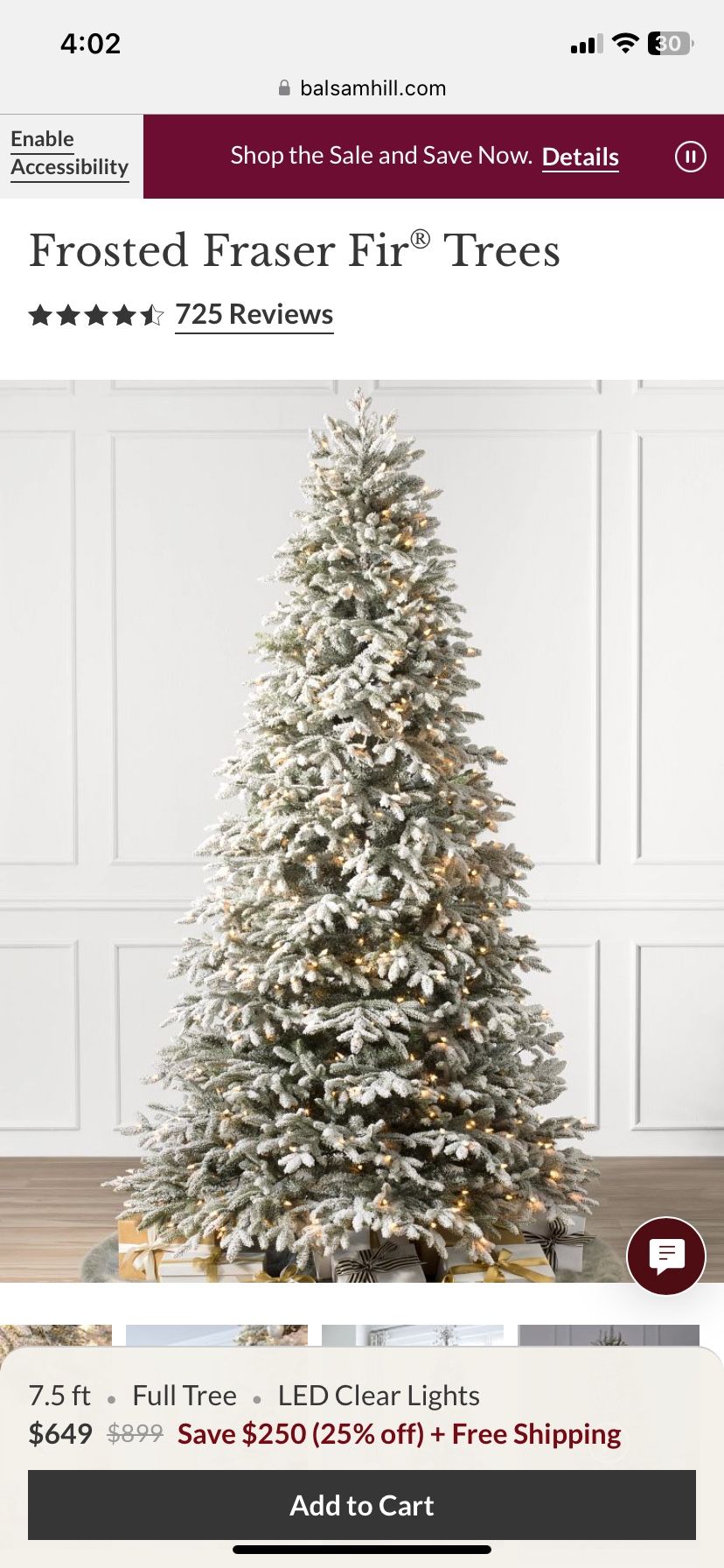 Balsam Hill Frosted Fraser Fir Tree