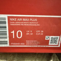 Nike Air Max Plus