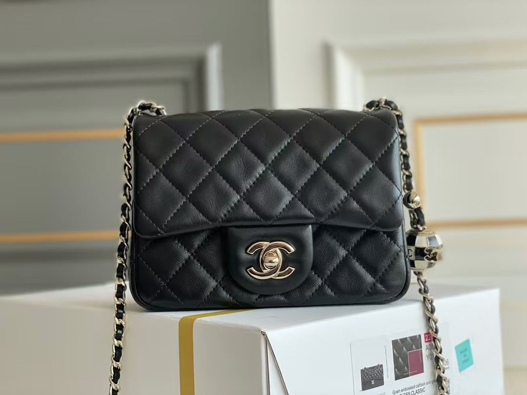 Brand New Chanel bag