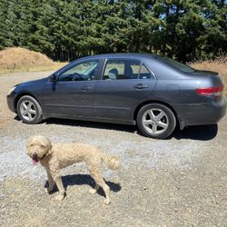 2004 Honda Accord