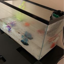 10 Gal Tank