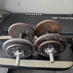 Dumbbell Weights 