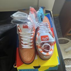 Orange Lobsters