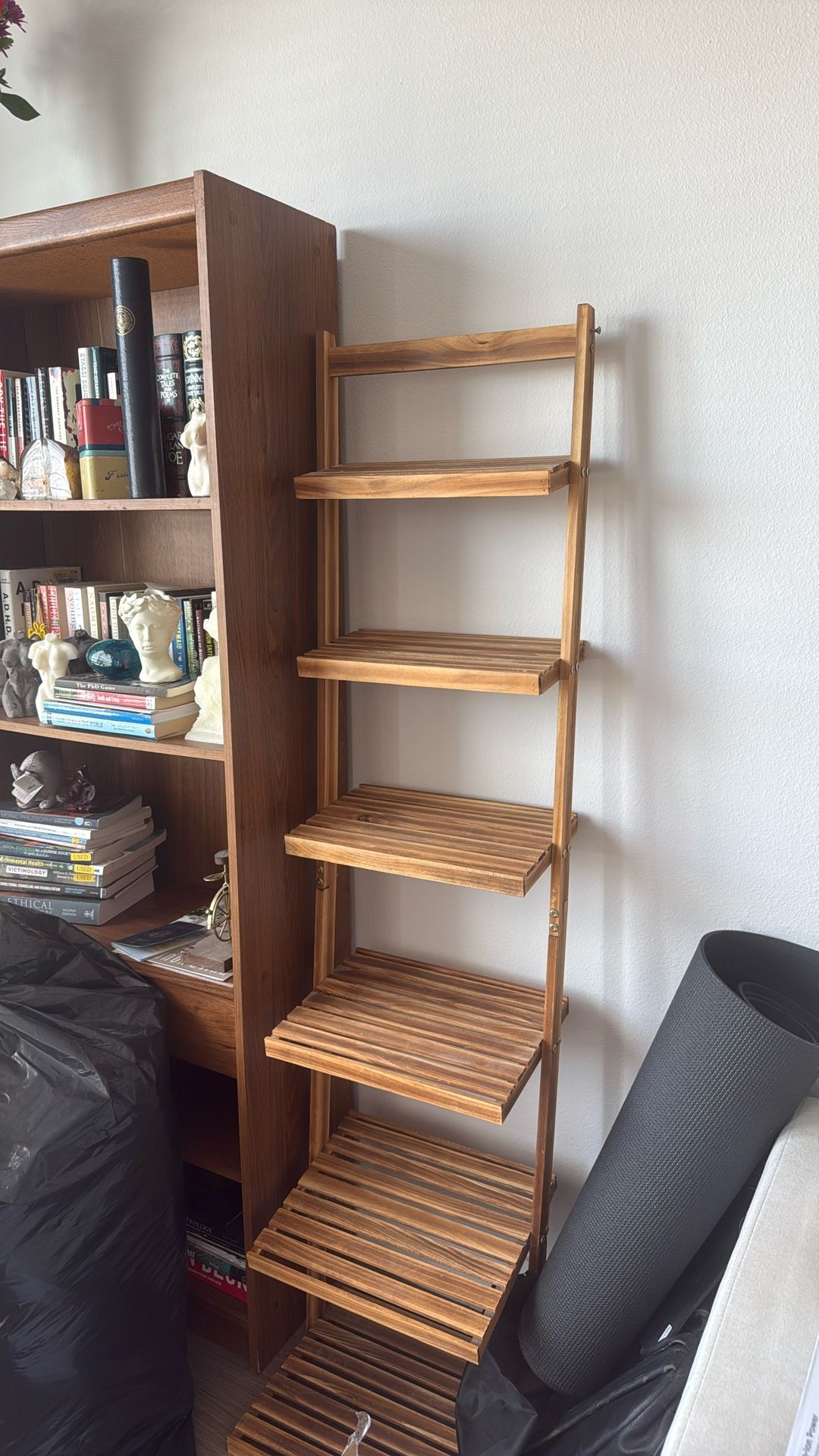 Ladder Light Wooden Shelf 