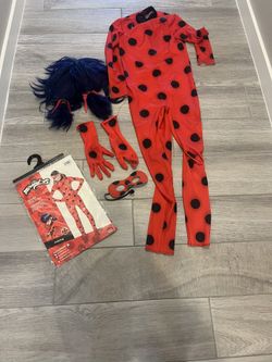 Miraculous Ladybug Costume Includes Wig And Costume