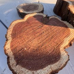 small slices of Juniper and cedar trees
