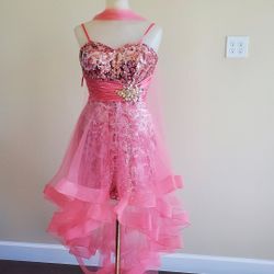 Pink Dress 