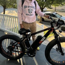 Big Mountain Electric Bike
