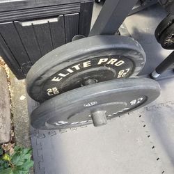 Elite 40lb plates total (2 pieces)
