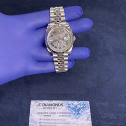 41 MM Stainless Wibledom 2026 