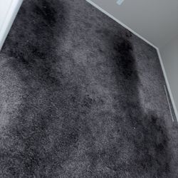 Carpet Cleaning FREE