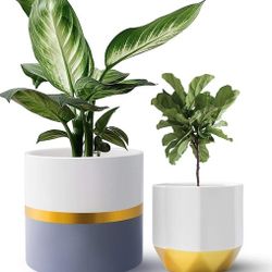 Plant Pot, 6.5'' Ceramic Planter with Drainage Hole and Plastic Stopper, Perfect for Indoor Outdoor Flower Plants, Great for Home Decor