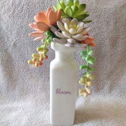 Vase 7 In Tall With 4 Colorful Succulents