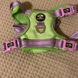 New Large Harness 