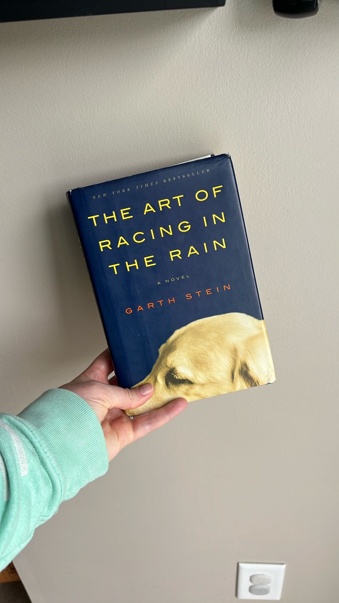The Art Of Racing In The Rain