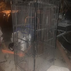 Antique Tall Vintage Birdcage 