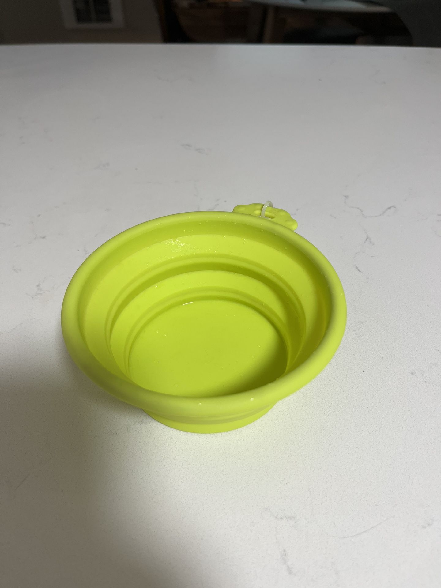Collapsible Dog Bowl