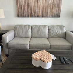 Sofa Sleeper Sofa (make Offer!)