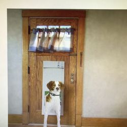 High Tech Pet 8 in. x10 in. Power Pet Electronic Fully Automatic Dog and Cat Door 