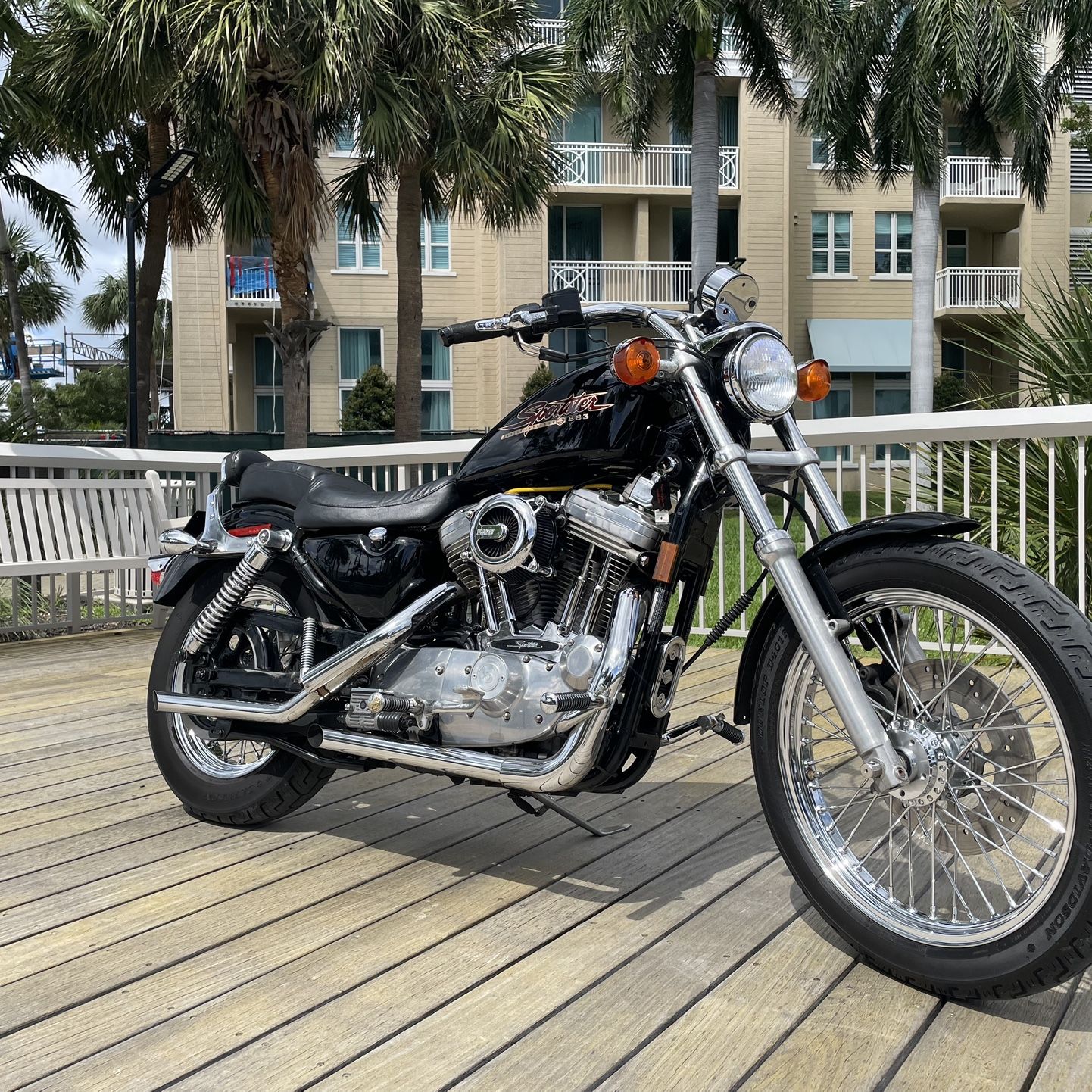 davidson iron 883 custom 883 harley 2007