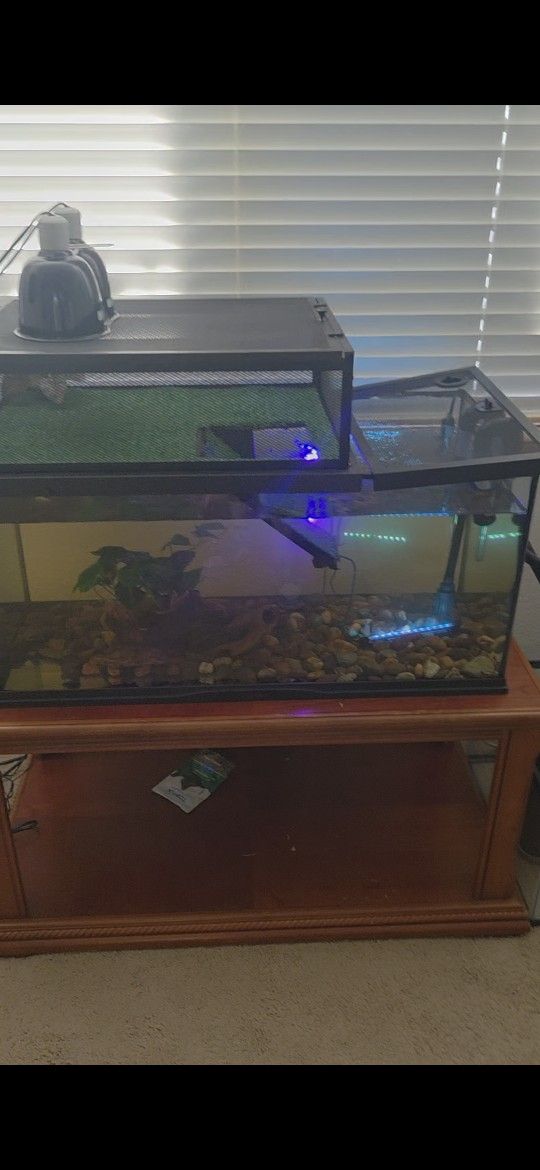 Fish Tank With Turtle Dock π’