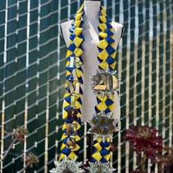 Graduation Lei / Lei De Graduacion 