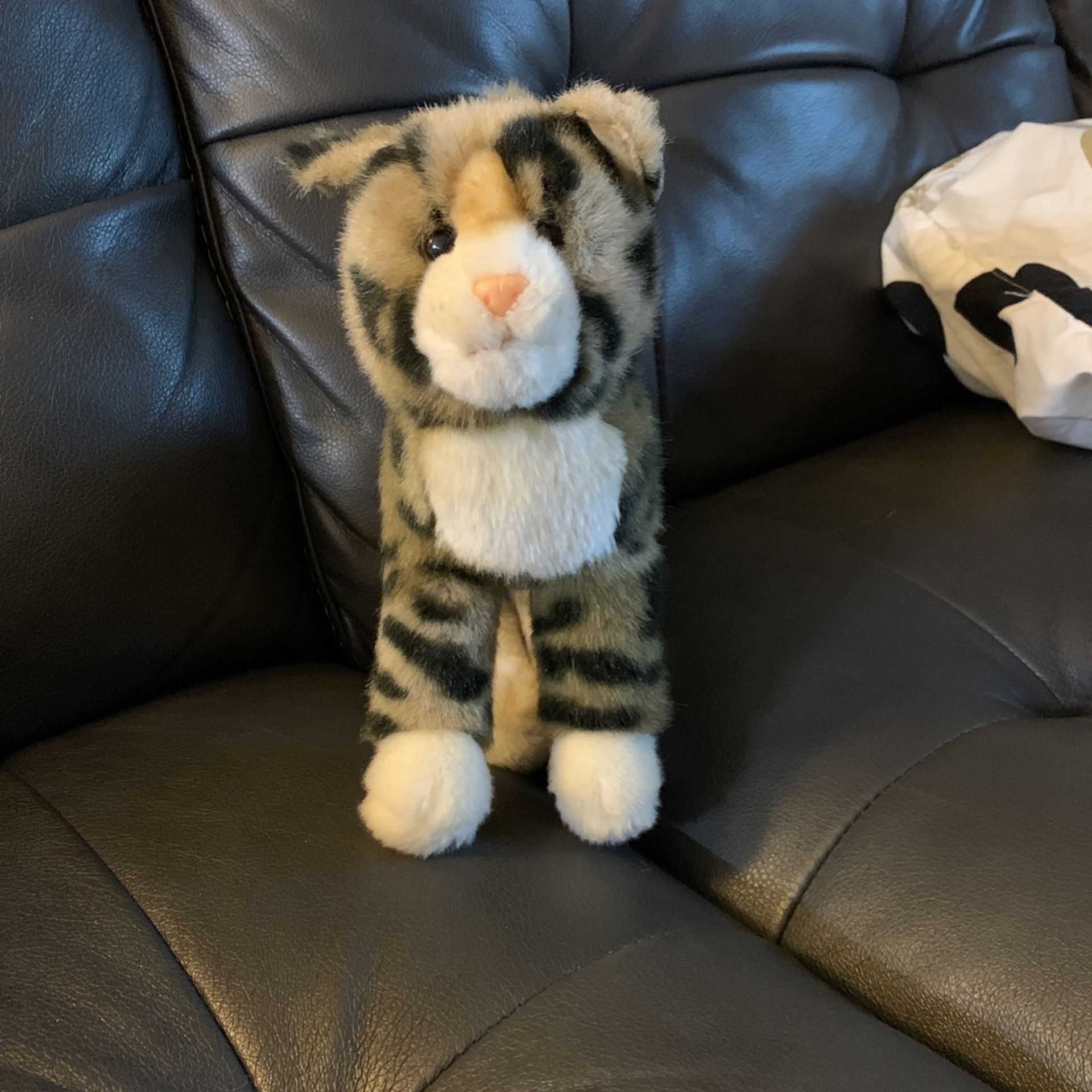 Cat Douglas The Cuddle Toy