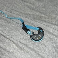 Got Bark Collar 