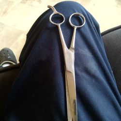 Scissors 