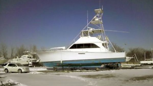 Ocean super sport 55