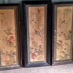 Set of 3 framed vintage bird prints, R.T.V. Sales INC 1963

