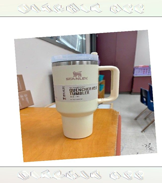 Stay Quenched in Style with Stanley Cups in Various Color Selections share person