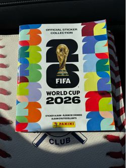 WORLD CUP PANINI STICKERS * Read description