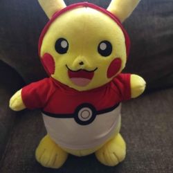 Pokemon Pikachu build a bear.