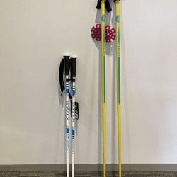 Ski Poles
