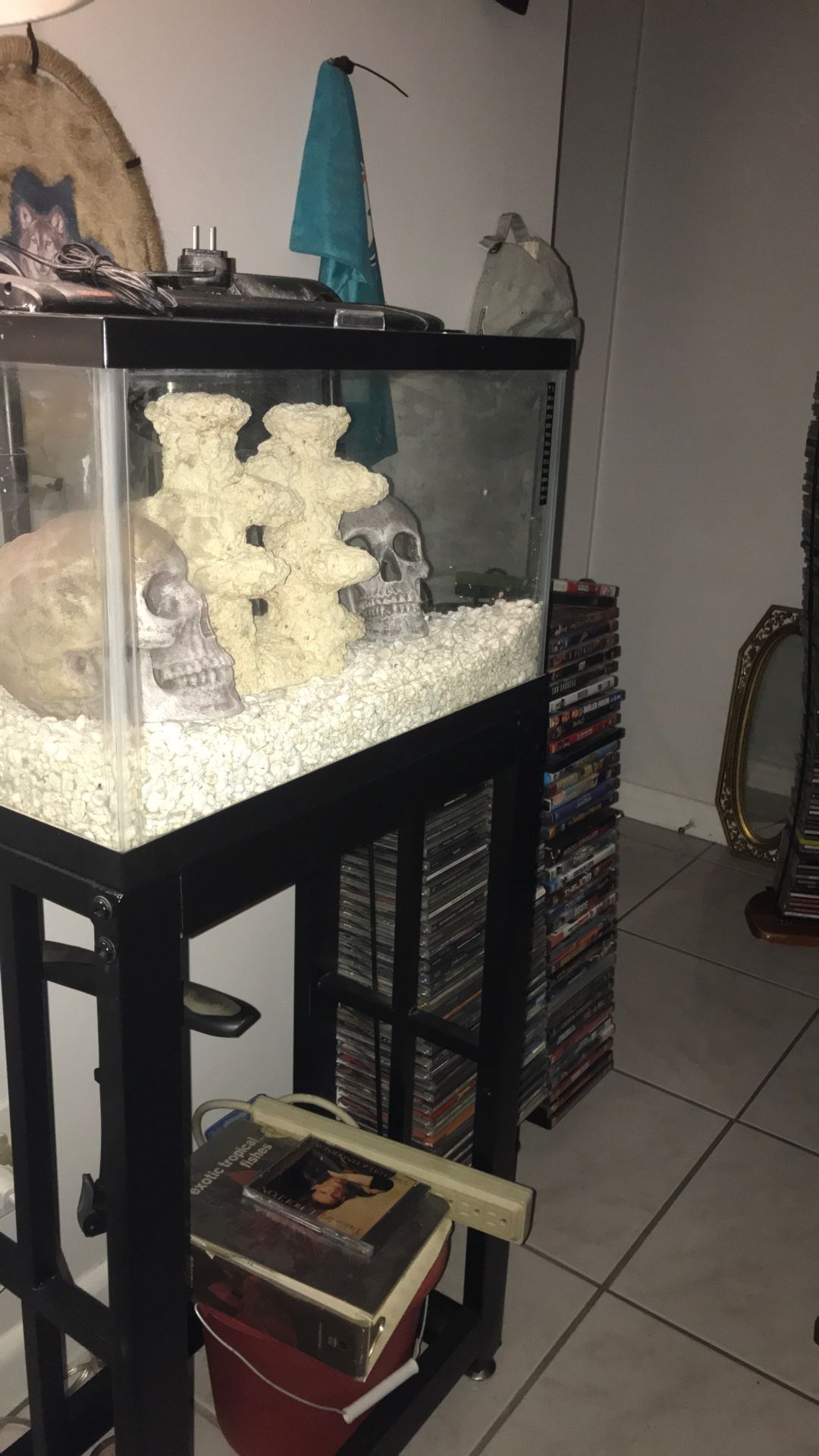 10 gallon aquarium
