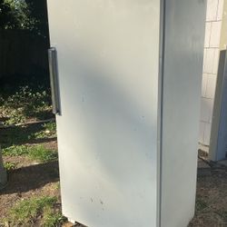 Ugly Freezer, Works Beautifully!!