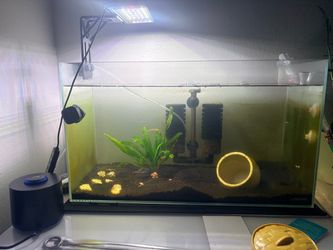 Fish tank 15 gallons