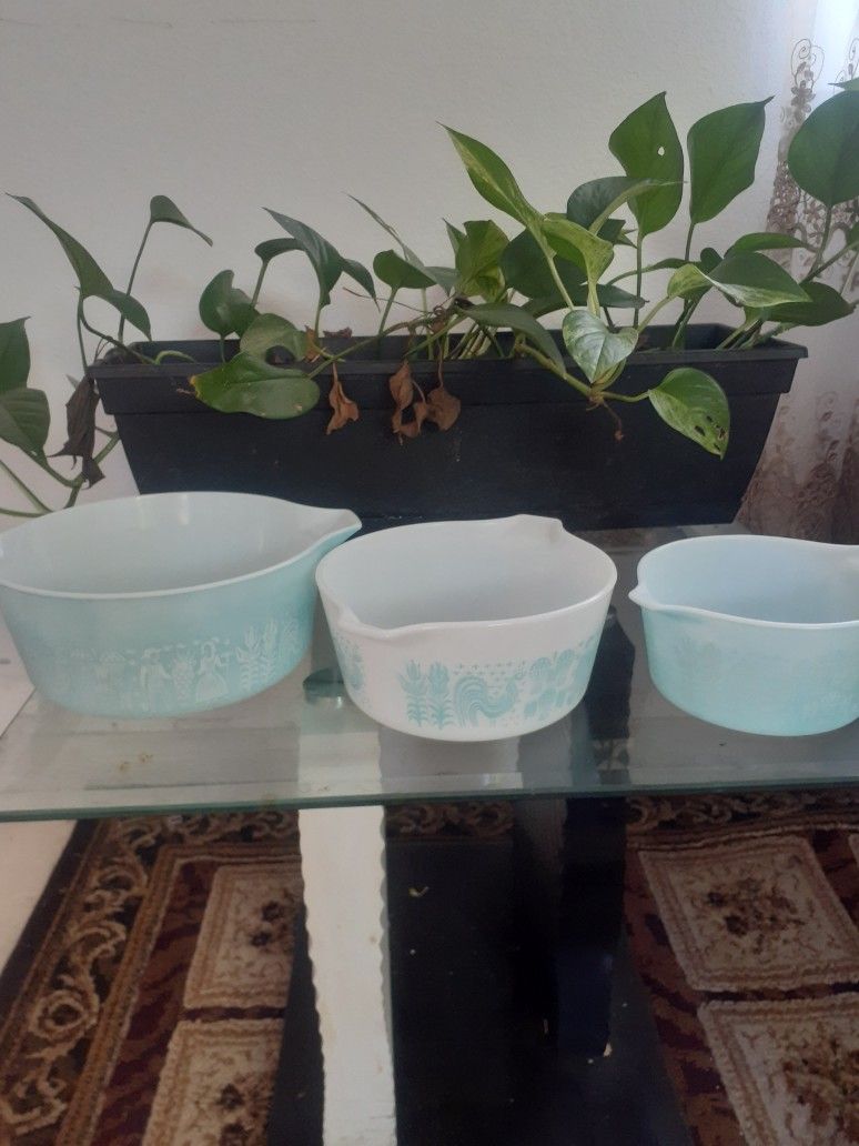 bowl
