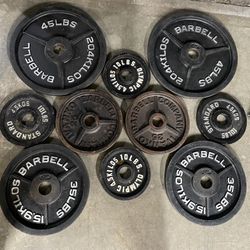 Olympic Set Of Weight Plates 