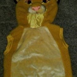 Lion King Costume 