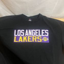 NBA Los Angeles Lakers LeBron James Majestic Jersey T Shirt (X-Large) Used - Good $15 Meet Up In Irving @dfwgoods 